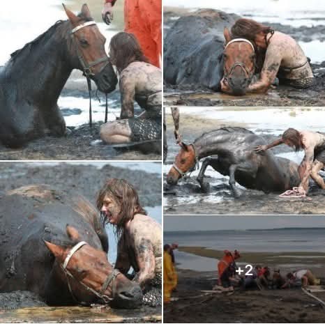 For 3 hours, woman desperately holds her trapped horse – then a farmer turns up at the last second
