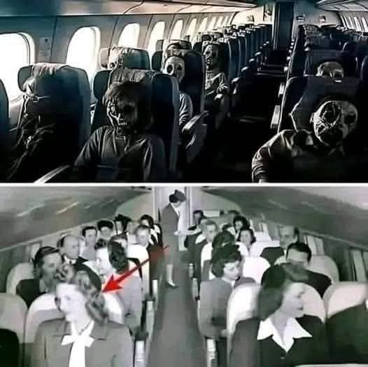 HT10. Mystery in the Skies: The Plane Lost in 1984 Reappears in 2019 with 92 Skeletons Onboard