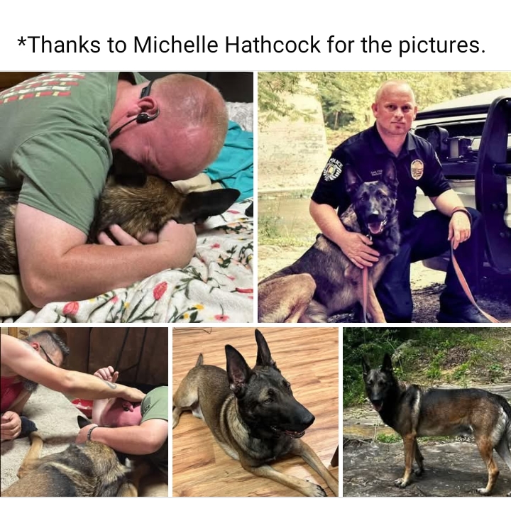 We all know how heartbreaking it is to say goodbye to a pet.
